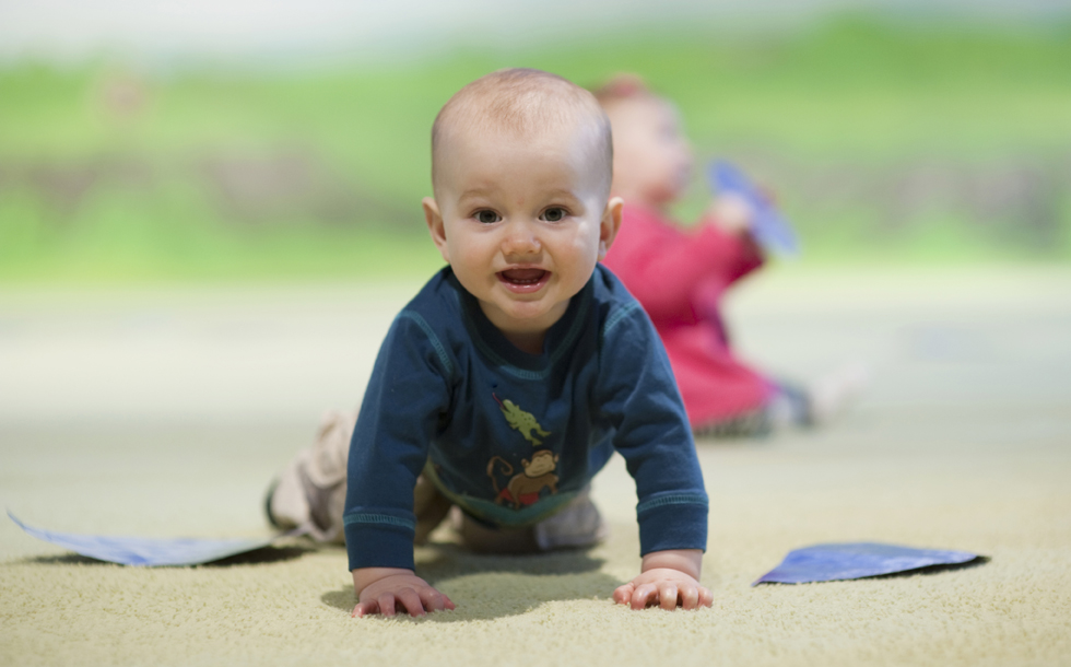 Baby Sign Language: A Picture Guide to Get Started